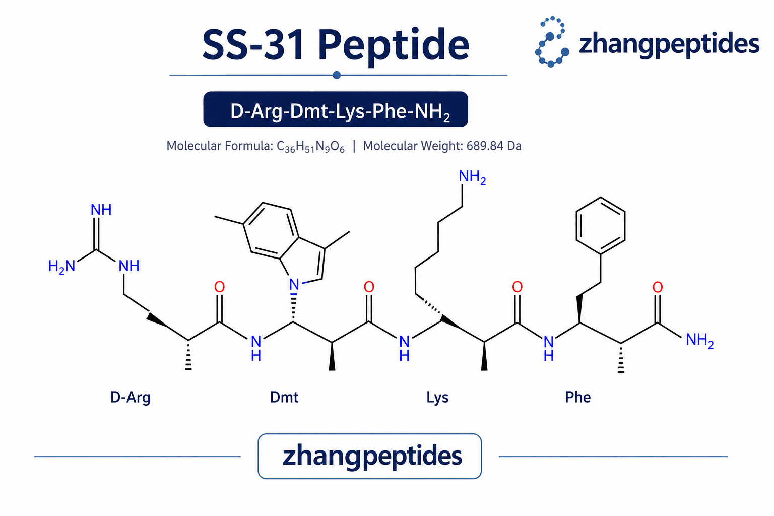 SS-31 / SS31 Research SS-31 peptide vial for laboratory research